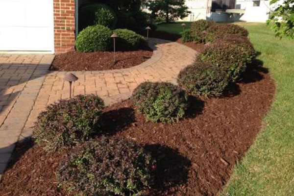 Mulching Chief Excavation And Landscaping