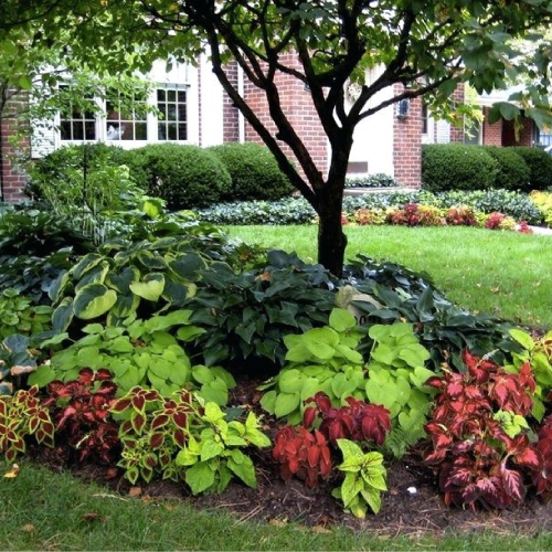 residential landscape projects and lawn services