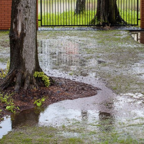 Lawn flooding - Signs that you need landscaping and excavation drainage repair assessment an solutions