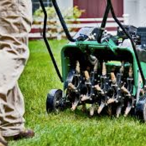 aeration and overseeding lawn services